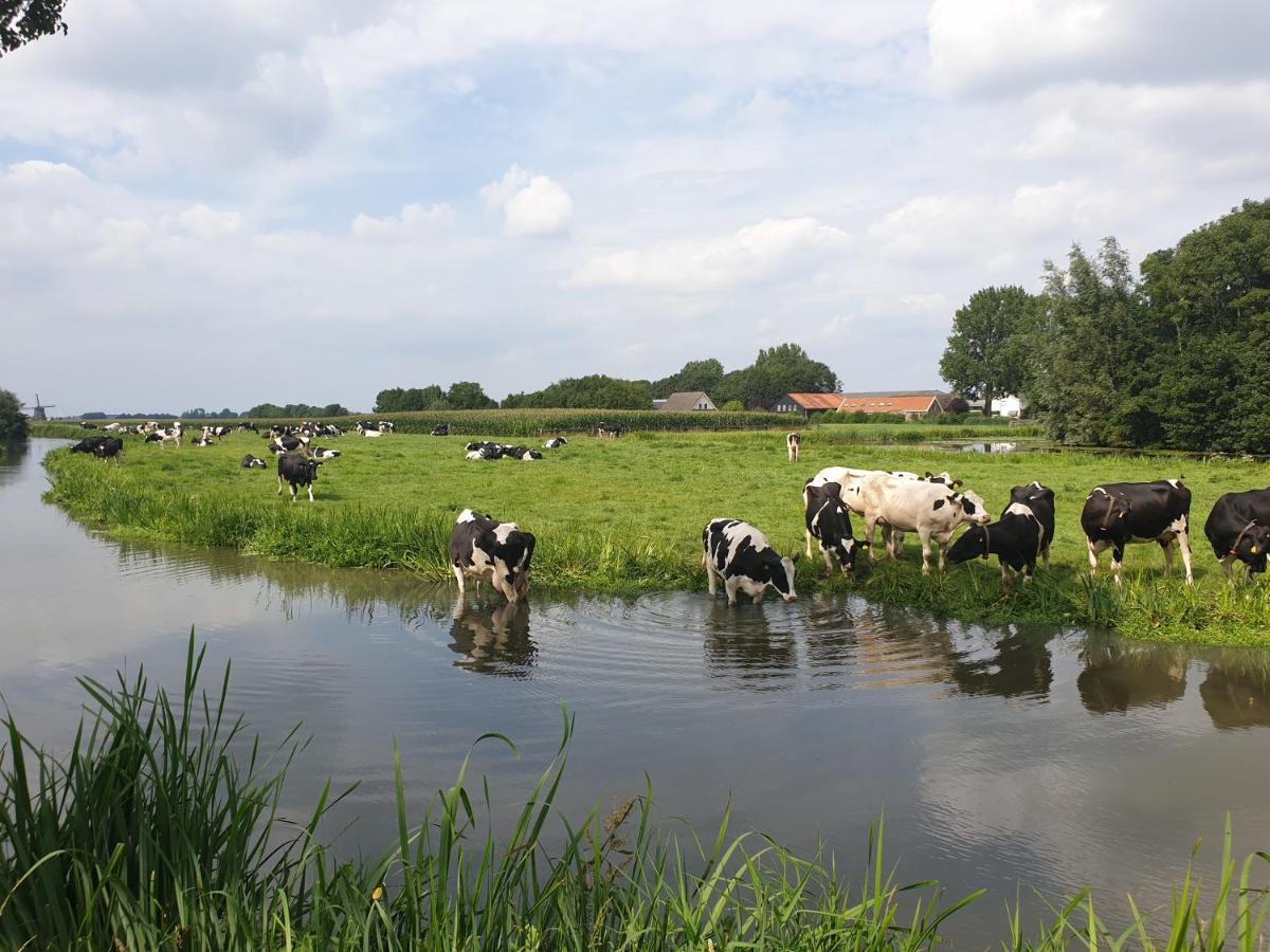Nieuw Minerva Leyde